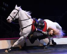 Troupe ASSA 2018 Festival International du Cirque des Mureaux intégral
